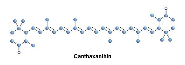 Canthaxanthin powder