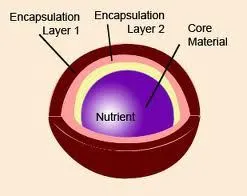 HSF Micro-encapsulation Technology