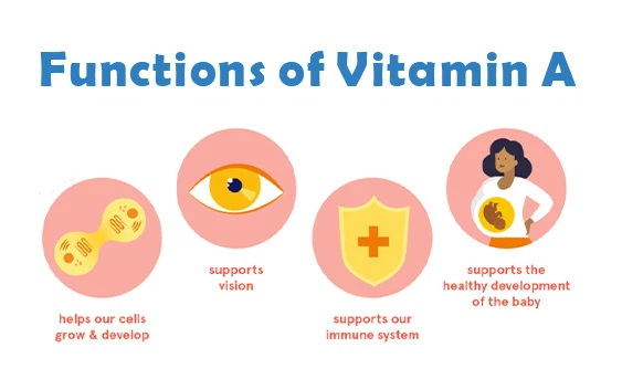Vitamin A Function Vitamin A Function