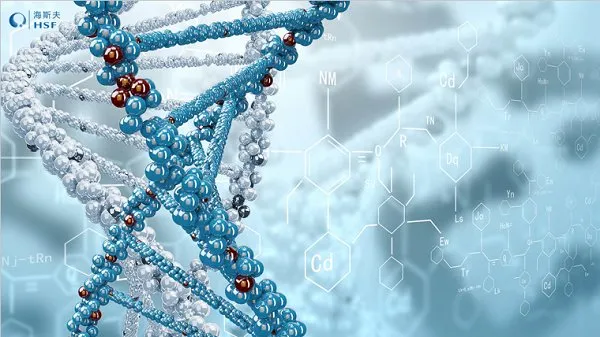 Fermented Fruits & Vegetables Advantage