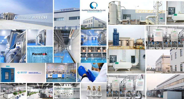 factory overview