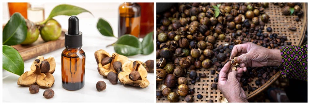 istockphoto-1271964154-612x612