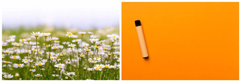 raw material raw material