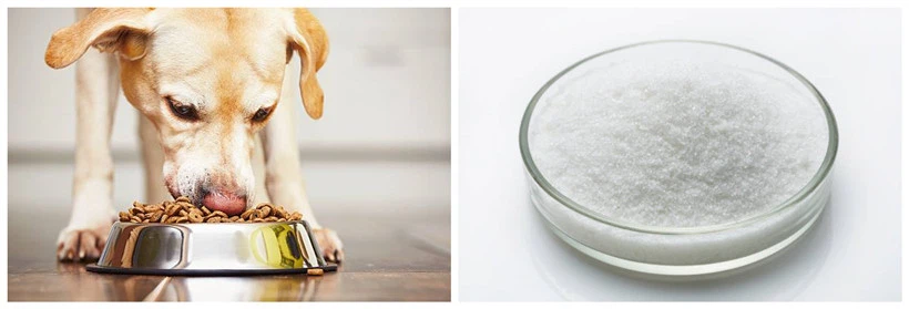 The Application Of Biotin The Application Of Biotin