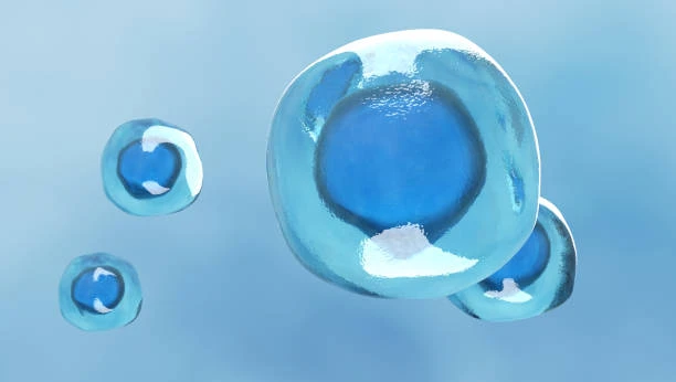 istockphoto-1292820371-612x612 istockphoto-1292820371-612x612