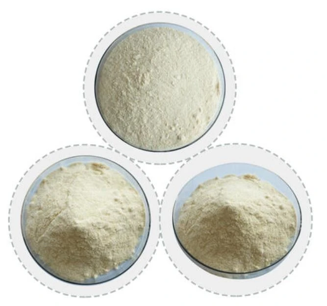 Sunflower Oil Powder CWS