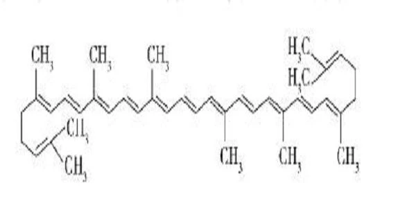 Lycopene tốt cho điều gì?