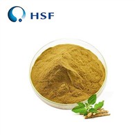 Bột chiết xuất Ashwagandha lên men