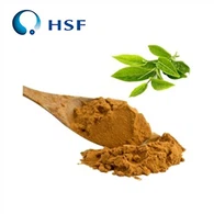 Trà Polyphenol bột